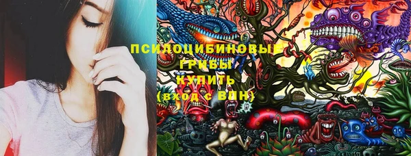ECSTASY Алексеевка